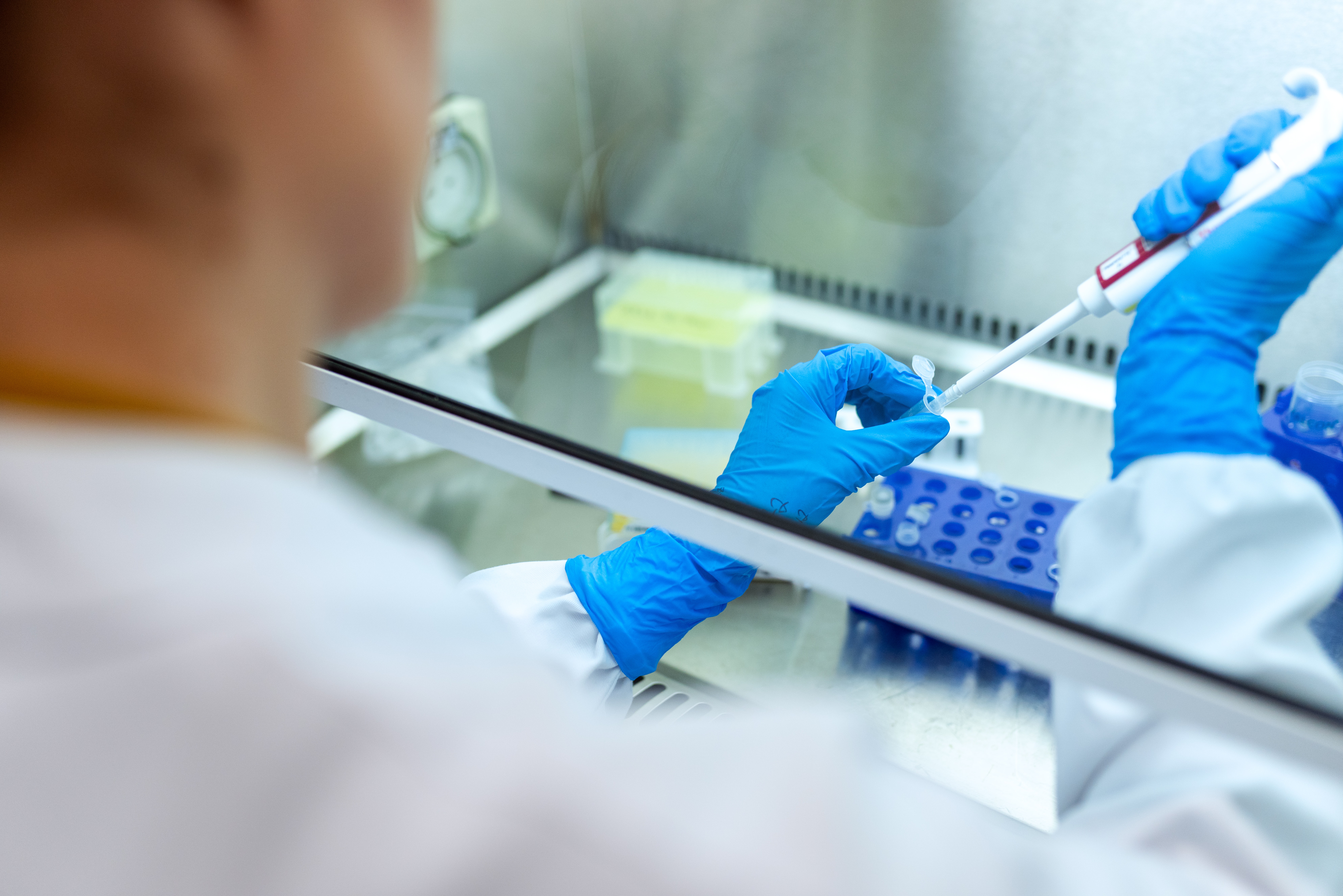 Virus Studies