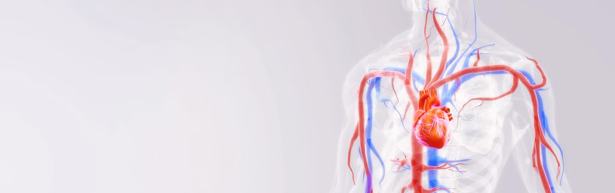 Warwickshire Vascular Clinic